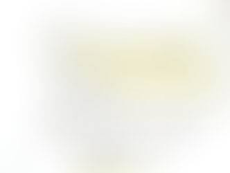 ONDE ESTÁ O GRUPO DE TRABALHO PRA VALORIZAR A CATEGORIA?