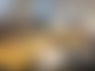 GRUPO DE TRABALHO: ÚLTIMA REUNIÃO DO ANO