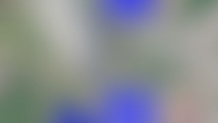 FALTA DE LOCAL ADEQUADO PARA ESTACIONAR A FROTA NO CENTRO TEM GERADO MULTAS