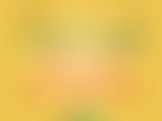 Celebremos e sigamos na luta!