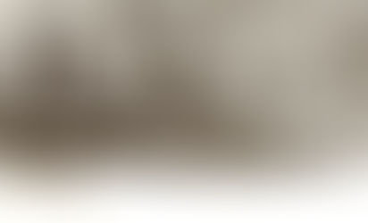 Cidadania e luta - Nasce o MOB