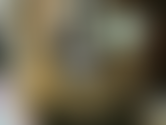 IMPOSTO DE RENDA, FUNCIONAMENTO DO SINDICATO E NOSSA LUTA EM 2023