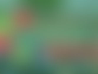 SOBRE OS EFEITOS DO CORONA19 E O QUE NOS AGUARDA LOGO MAIS