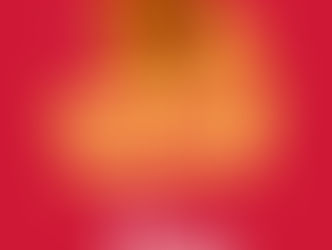 CATEGORIA TORNA ASSEMBLEIA PERMANENTE