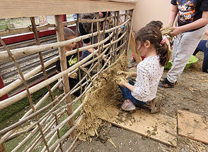 20220411_163040 (1).jpg