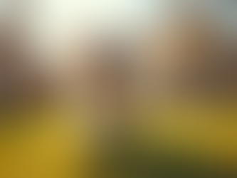 Top Benefits of Dog Boarding at Hilltop Kennels