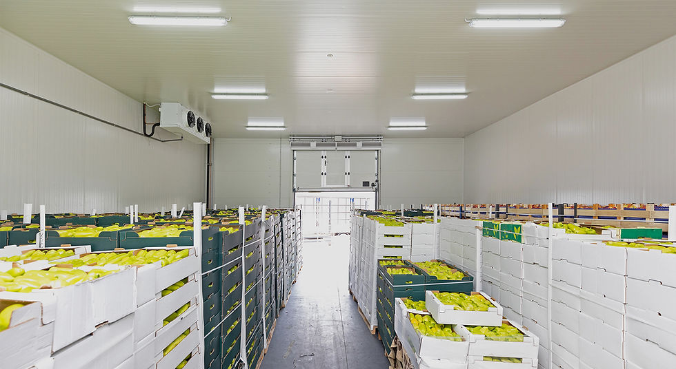 Cold-Food-Warehousing.jpg