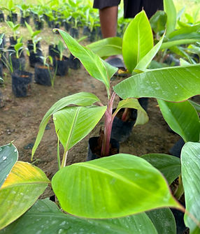 WhatsApp Image 2023-11-22 at 2.41.05 PM (1).jpeg