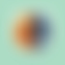 JOB FLEXIBILITY ACCORDING TO OUR CIRCADIAN RYTHM!