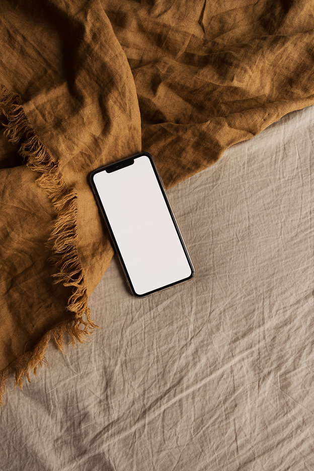 Blank screen smart phone on ginger blank