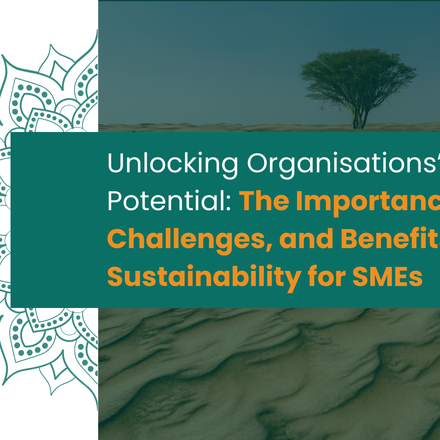 Unlocking Organisations’ Potential: The Importance, Challenges, and Benefits of Sustainability for SMEs