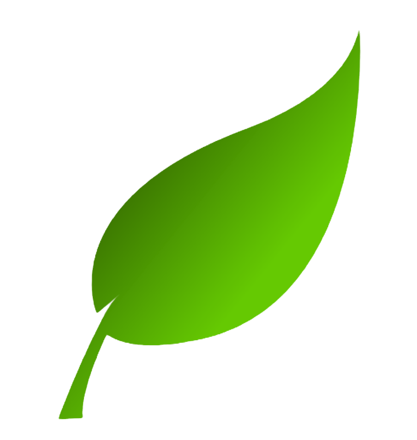 Stylized green leaf on a black background
