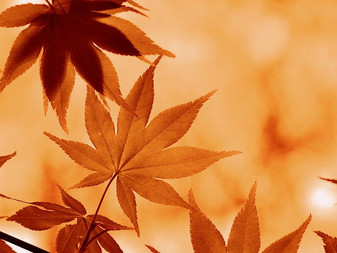 Herbstfarben
