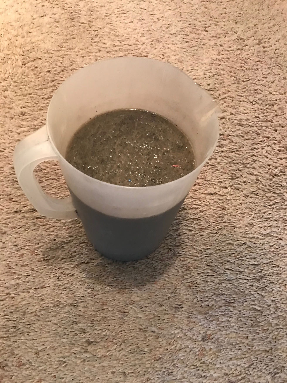 Simply Clean Carpets - carpet cleaning service