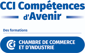 logo cci compétences d'avenir.png