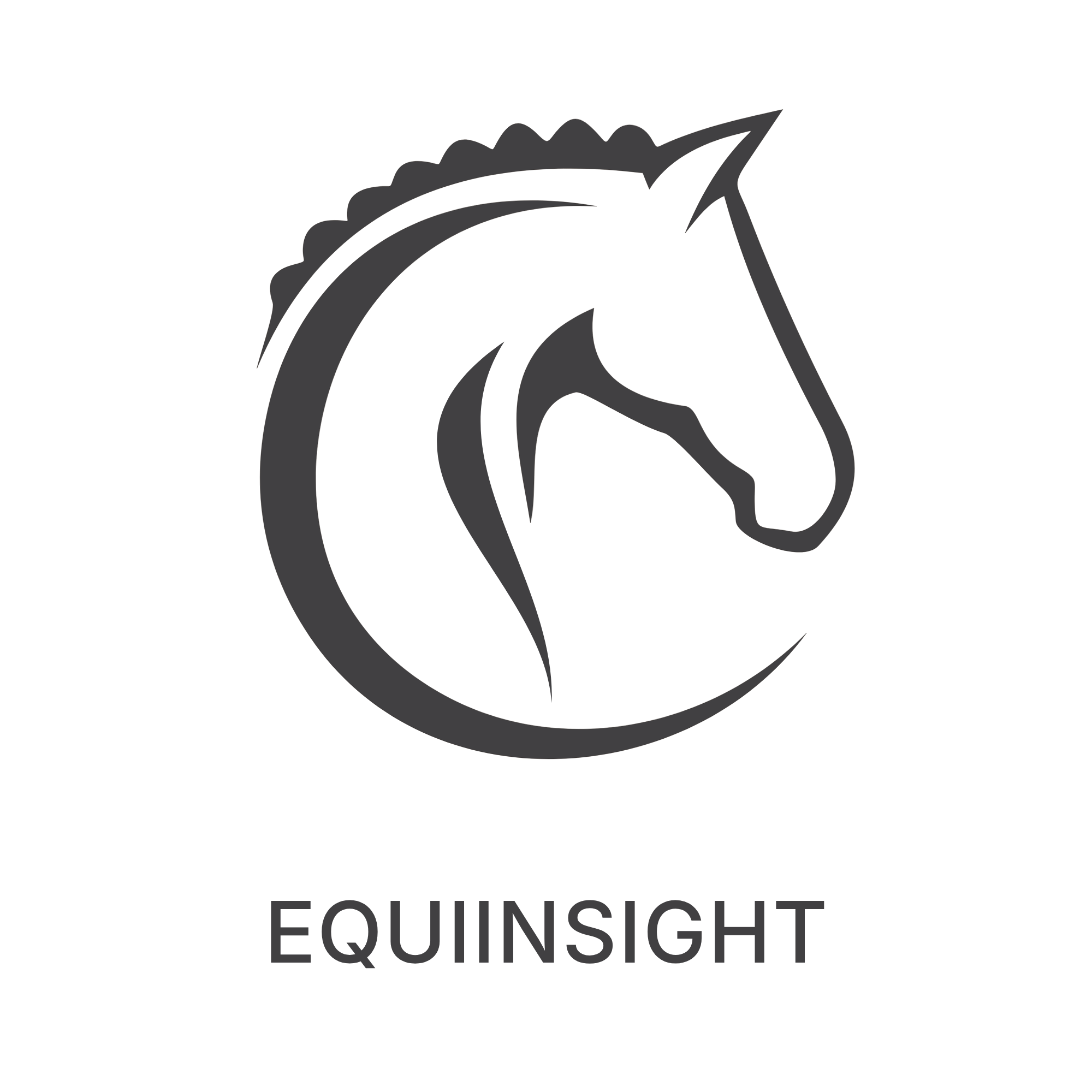 Writer: EquiInsight