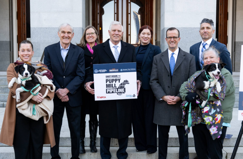 Screenshot 2026-01-21 at 9.09.22 AM.png