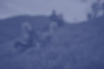 Hikers With Dog