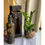 Thumbnail: Lantern bottle with fairy lights 