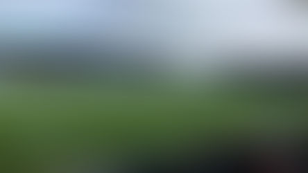 Spireites let lead slip
