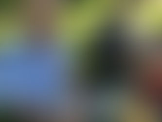 First Caesura Potluck Picnic PICS!