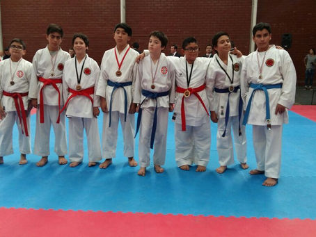 Informe campeonato Open de Kata