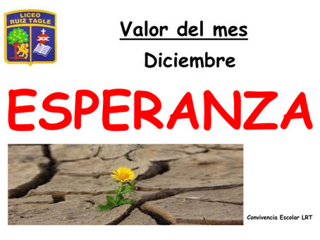 VALOR DEL MES