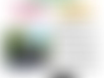 REUNIÓN DE APODERADOS ED.PARVULARIA