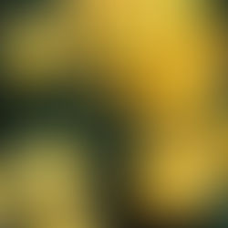 96M 에볼루션카지노