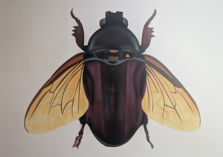 PXL_20260428_225104310.png