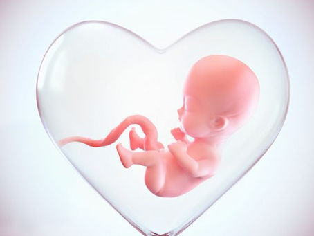 El bebé en estado fetal detecta sensaciones o emociones?
