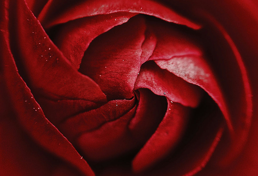 Rich red energy for June