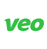 veo logo.png