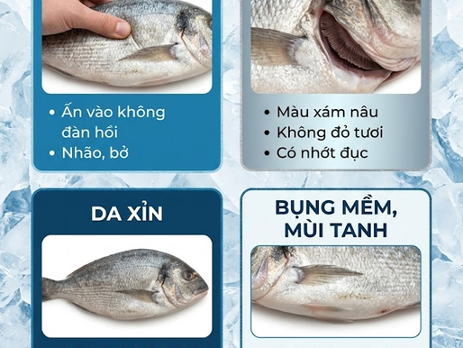 5 Dấu Hiệu Cá Đã Để Lâu Dù Nhìn Vẫn Còn Tươi