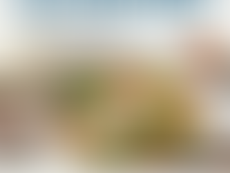 5 món cá mú – dễ nấu, giữ dinh dưỡng, phù hợp gia đình bận rộn