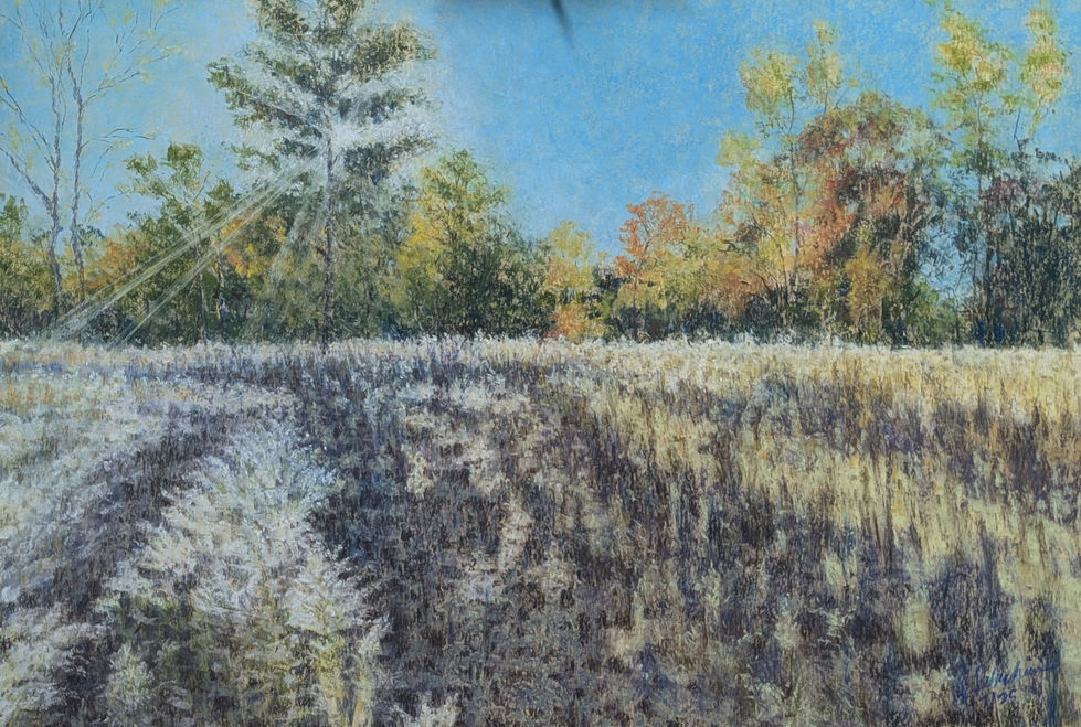 pastel, meadow, october