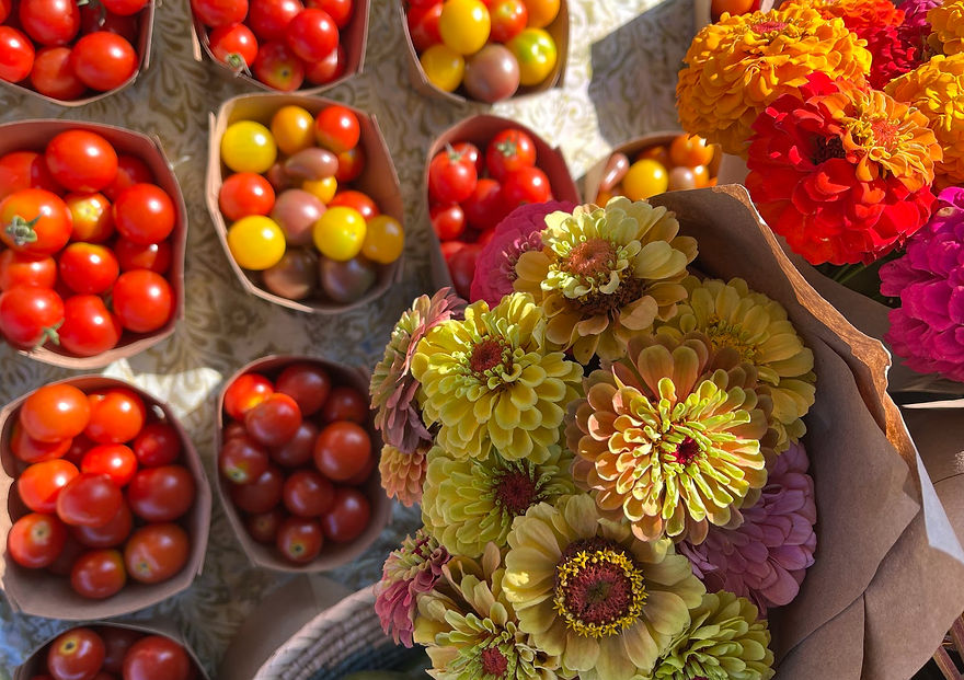 Screenshot 2025-01-19 at 12.56_edited.jpg