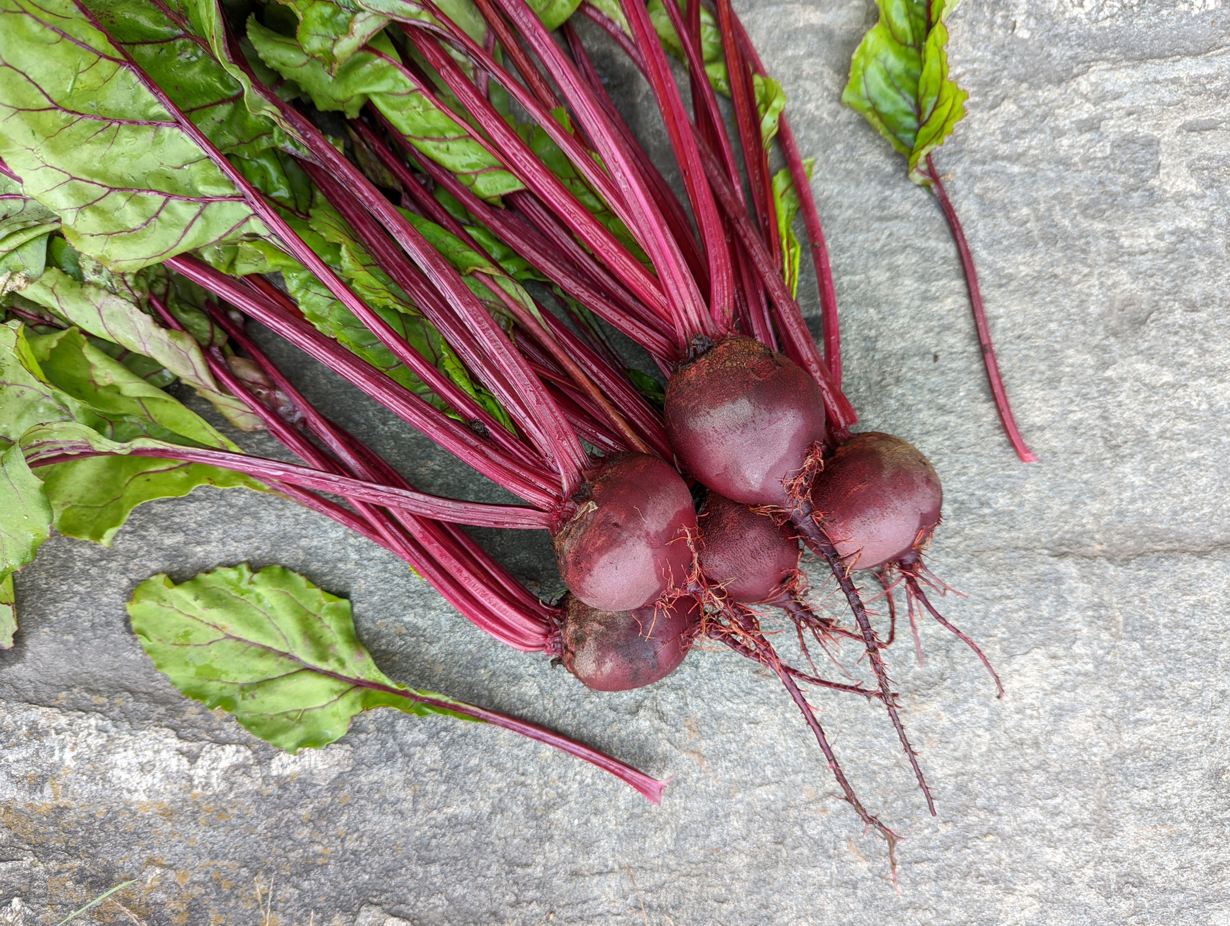 Beets
