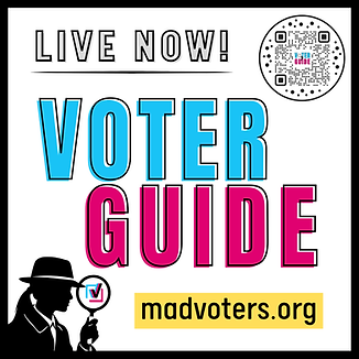 Voter Guide graphics (4).png