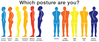 Here's some tips to help us improve our posture