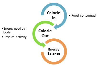Calories in , calories out