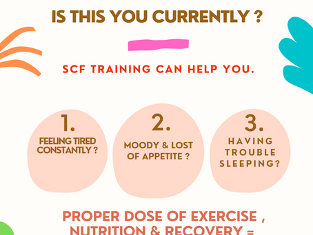 Daily workout (25/11/2022)