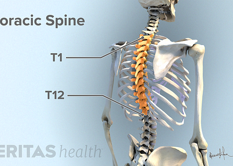 Upper back pain ( part 1 )