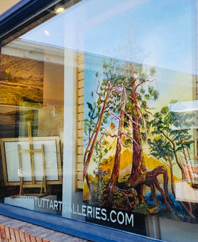 Tutt Street Gallery Exhibition Display