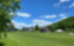 ree