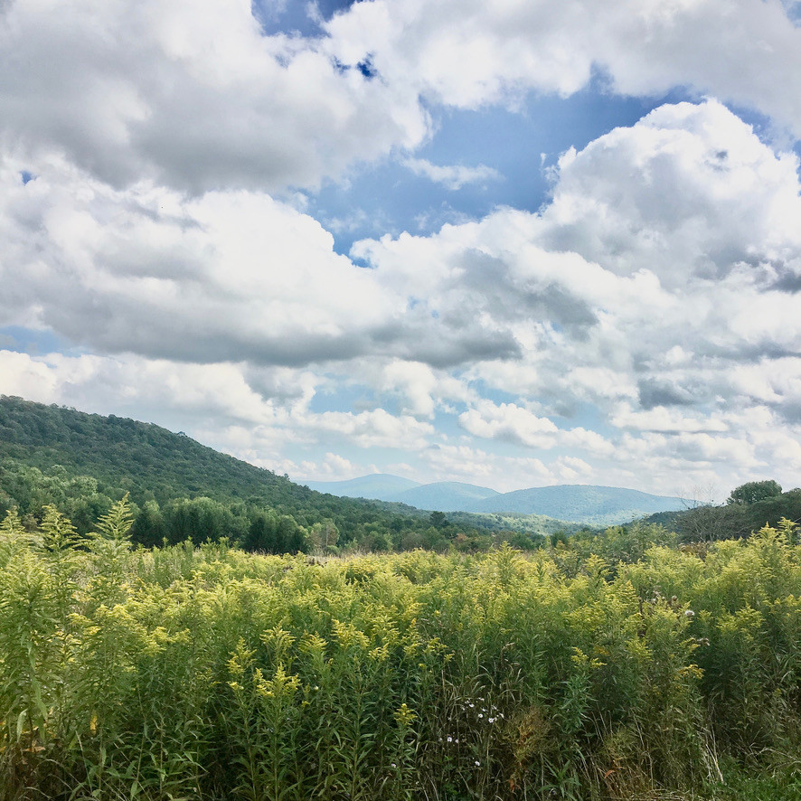 Home Bovina Center Montessori School
