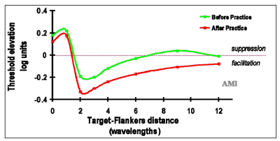 target-flanker distances.gif