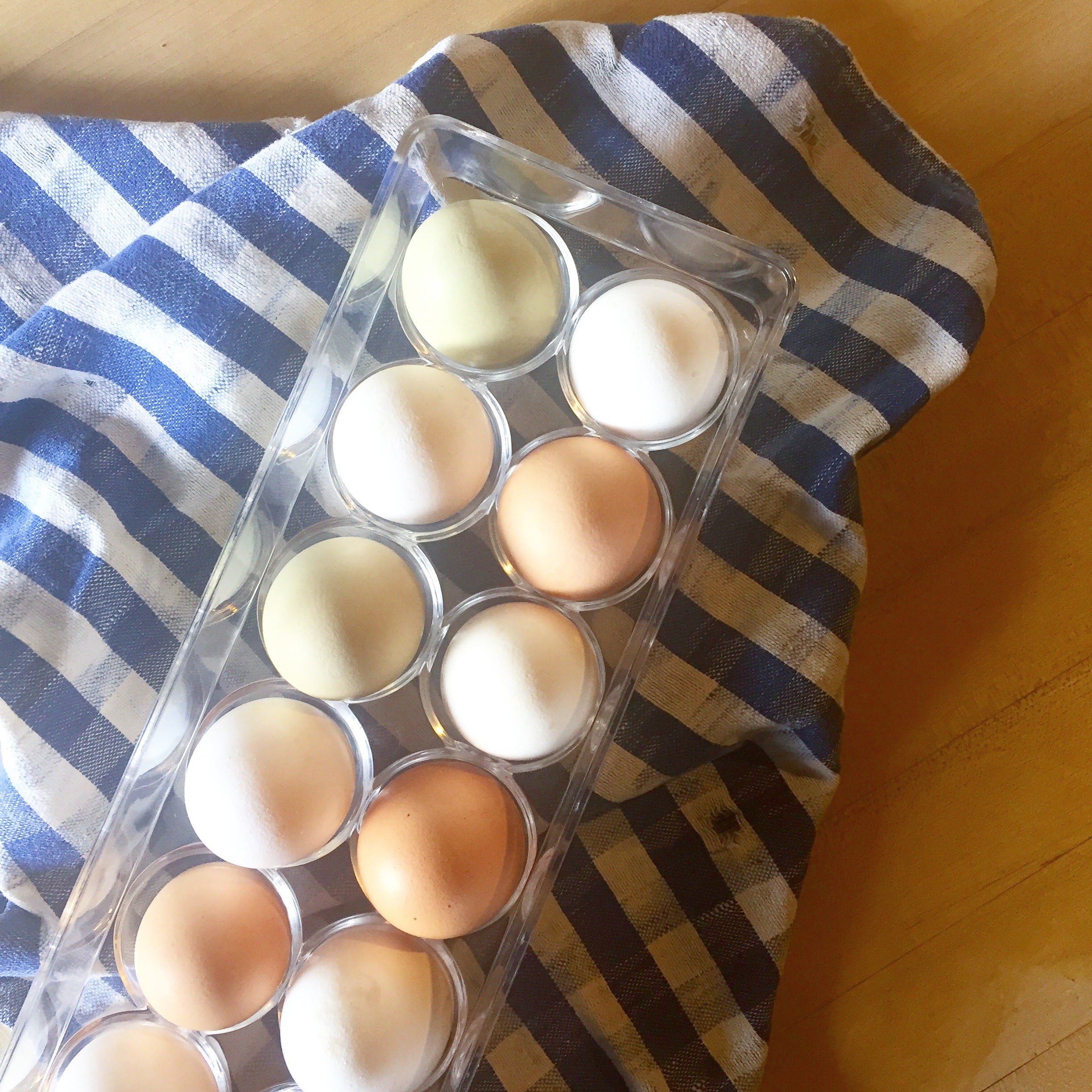 Local Fresh Eggs