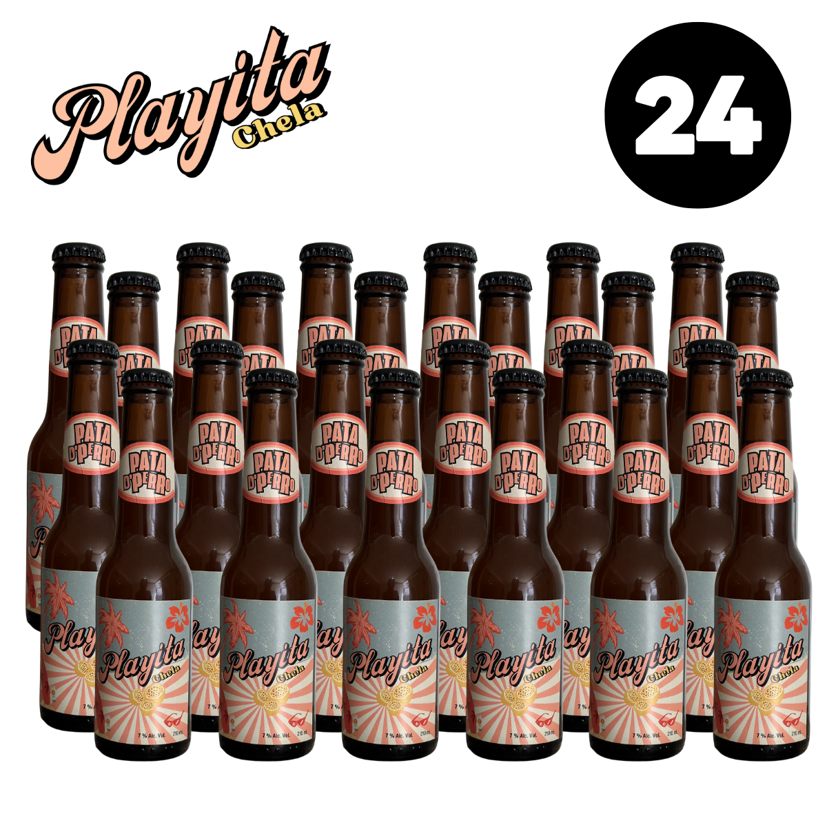 Playita Cerveza Artesanal Veinticuatro Pack