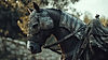 Horse.jpg
